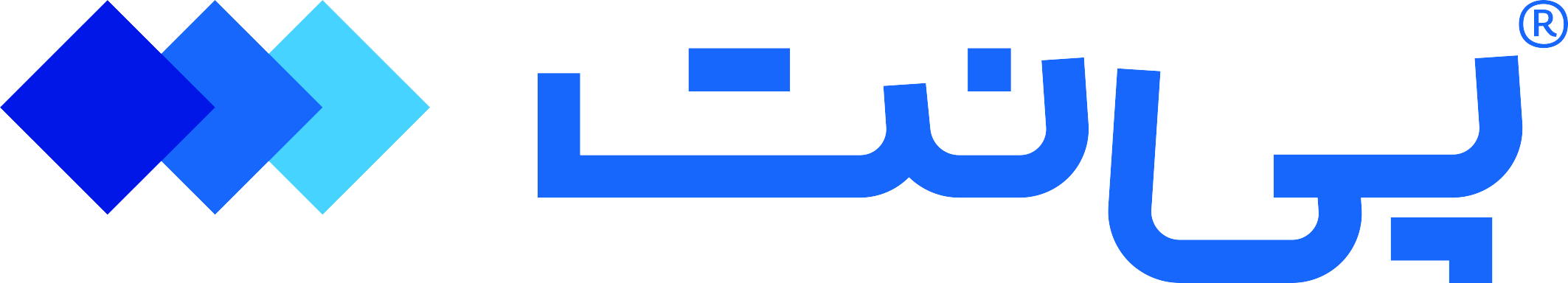 PaynetLogo